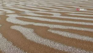 İklimler alt-üst! Çöle kar yağdı