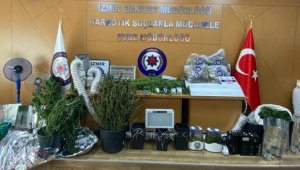 İzmir'de kenevir operasyonu: 10 gözaltı