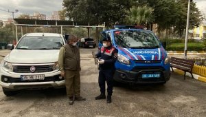 Jandarma, yaralı şahini kurtardı