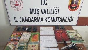 Jandarmadan tefecilere operasyon