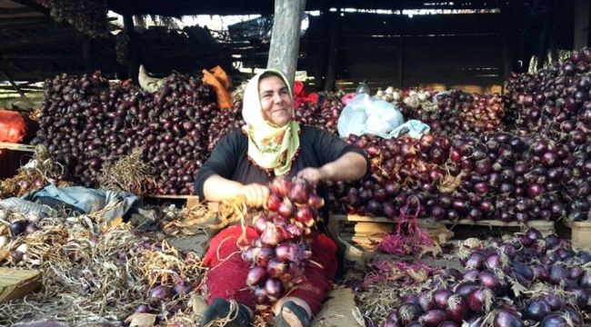 Kapıdağ Mor Soğanı yurt dışına ihraç edilecek