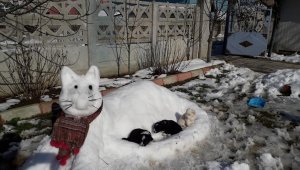 'Kardan kedi' yaptılar