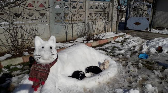'Kardan kedi' yaptılar