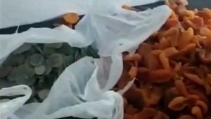 Kayısı kolilerinden Bizans Dönemi'ne ait eserler çıktı