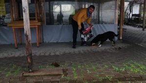 Kazancının yarısını sokak hayvanları için harcıyor