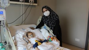 Kendi minik, mücadelesi büyük