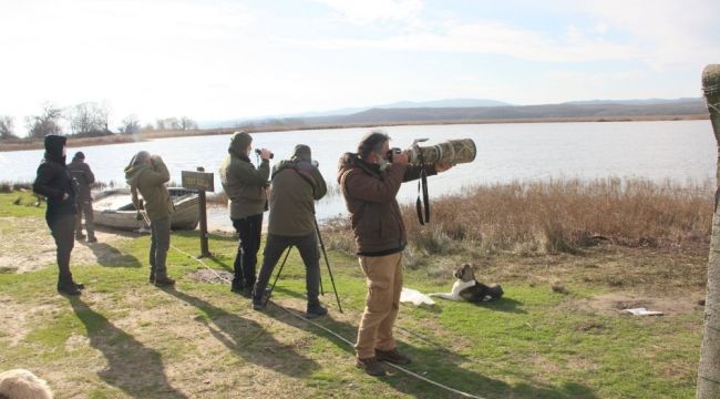 Kırklareli'nde "Kış Ortası Su Kuşu Sayımları" yapıldı