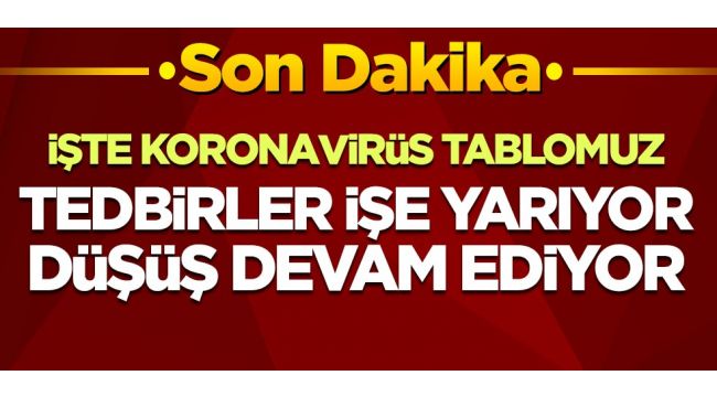 Koronada iyileşen hasta sayısı vaka sayısını geçti