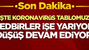 Koronada iyileşen hasta sayısı vaka sayısını geçti