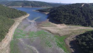 Kuraklık, sivrisinek artışına ve hastalıklara neden olabilir