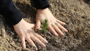 Manisa ormanlarına kadın eli değdi