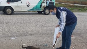 Manisa'da sokak hayvanlarına mama desteği
