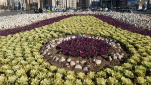 Melikgazi'de 200 bin adet mevsimlik çiçek dikimi yapıldı