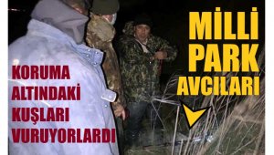 Milli Park'ta av yaparken yakalandılar
