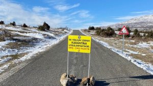 Mutasyonlu korona virüs Diyarbakır'da!