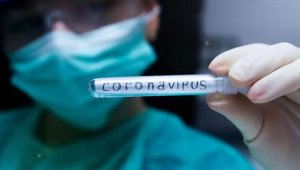 Norveç, İsveç ile sınırını kapattı