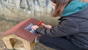Öğrencilerden "Kedi Park Projesi"