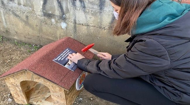 Öğrencilerden "Kedi Park Projesi"