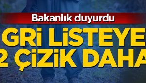 Öldürülen 5 teröristten 2'si 'Gri' kategoride