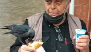 Omzuna konan kargayla birlikte döner yedi, ayran içti