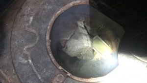 Oyun kartlarını sobada yakmaya çalıştılar