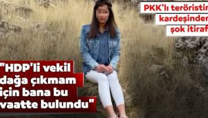 PKK'lı teröristin kardeşinden şok itiraf!