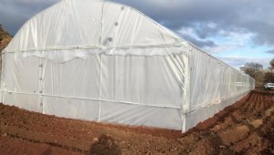 Salihli ve Turgutlu'ya teknolojik sera kurulacak