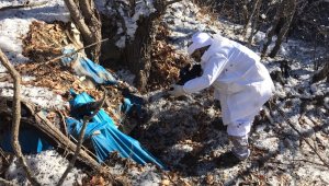 Siirt'te PKK'lı teröristlere ait silah ve mühimmat ele geçirildi