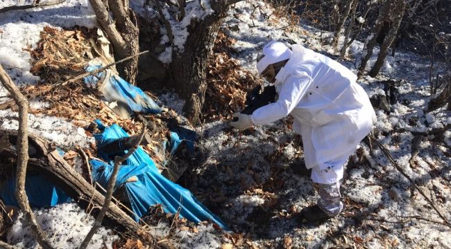 Siirt'te PKK'lı teröristlere ait silah ve mühimmat ele geçirildi