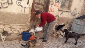 Sokak hayvanları unutulmadı