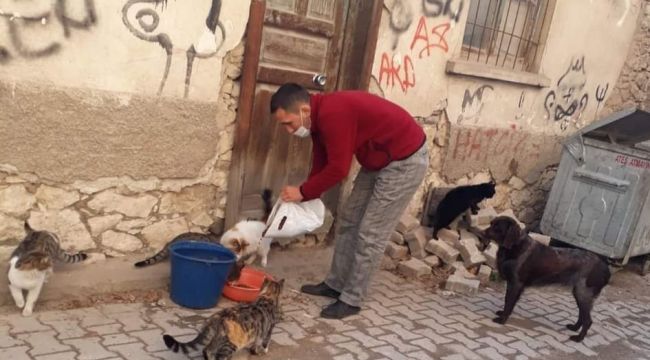 Sokak hayvanları unutulmadı