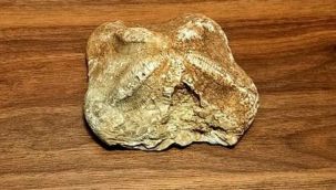 Tam 2 milyon yaşında!