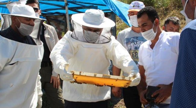 Tarım Bakanlığı'ndan organik arıcılığa destek