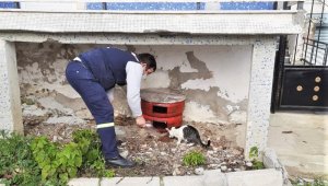 Tekirdağ sokaklarındaki canlar unutulmadı