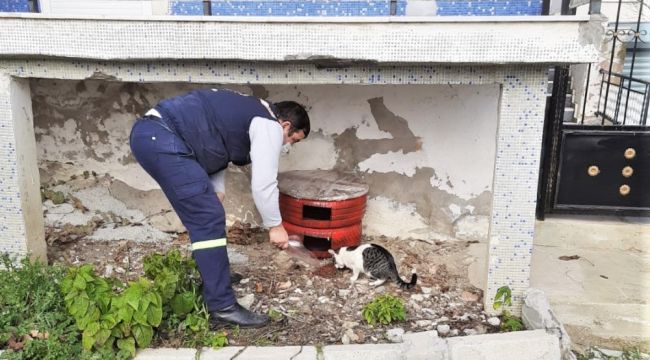 Tekirdağ sokaklarındaki canlar unutulmadı