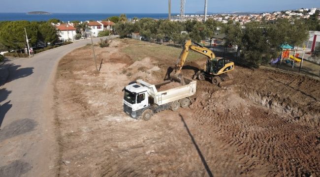 Temel kazısından çıkan ağaçlar yeni yaşam alanlarında