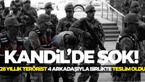 Terör örgütü PKK'da çözülme hızlandı