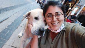 Umut kesilen köpeği veterinerler hayata döndürdü