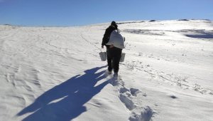Yaban hayvanlarına yem bıraktılar