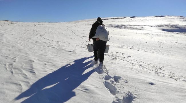 Yaban hayvanlarına yem bıraktılar