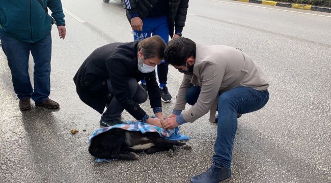 Yaptığıyla "İnsanlık ölmemiş" dedirtti