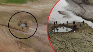 Yavru balıkları kurtarma operasyonu