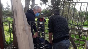 Yavruları olan köpek tüfekle vurularak öldürüldü