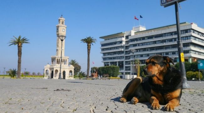 56 Saatlik kısıtlamada sokak ve caddeler boş kaldı