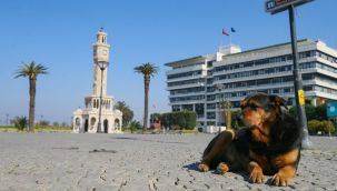 56 Saatlik kısıtlamada sokak ve caddeler boş kaldı
