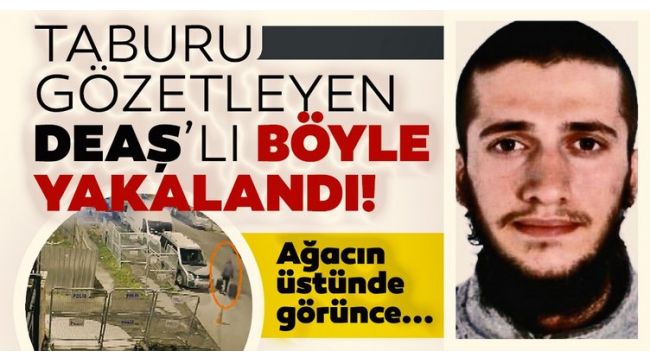 Ağaca çıkıp tabur gözetleyen DEAŞ'lı yakalandı!