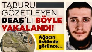 Ağaca çıkıp tabur gözetleyen DEAŞ'lı yakalandı!