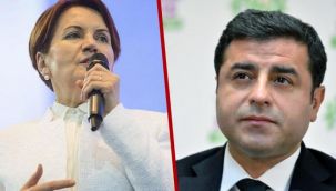 Akşener: Demirtaş'ın terörle iç içe olduğu bir gerçek