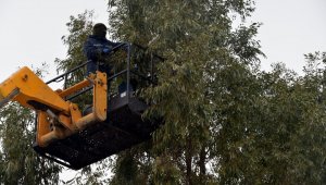Aliağa Belediyesi ekipleri Kalabak Mahallesi'nde