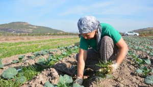 Aliağa Belediyesinden Türkiye'nin ilk toprak ve tarım atlası